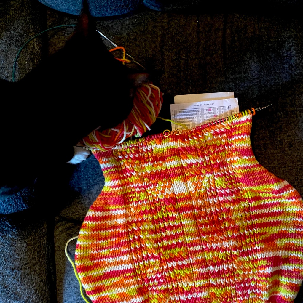 an in-progress knit in orange, pink, white, and green, and a cat sniffing the yarn