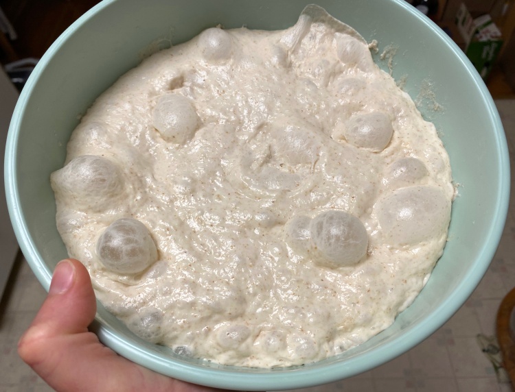 bubbly big dough in the same bowl