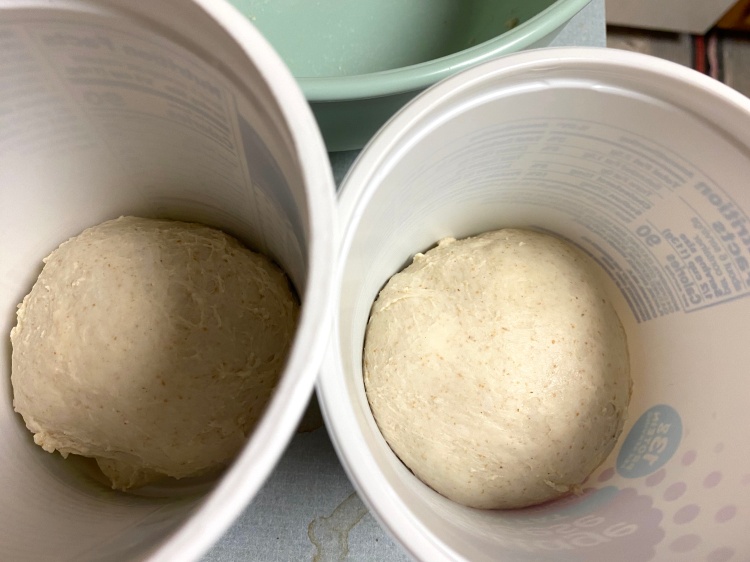 two tight dough balls sitting at the bottoms of plastic yogurt containers