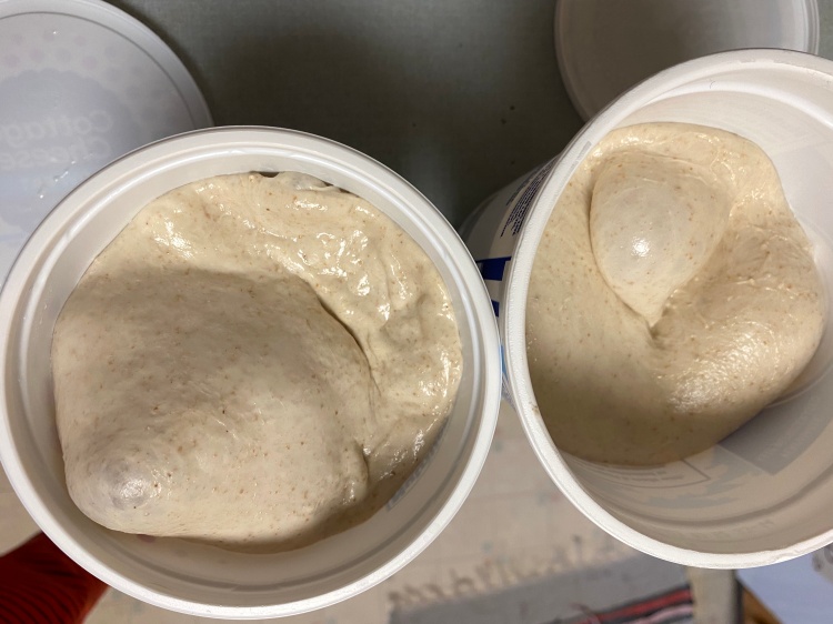 2 containers of bubbling dough up near the tops of the plastic yogurt containers