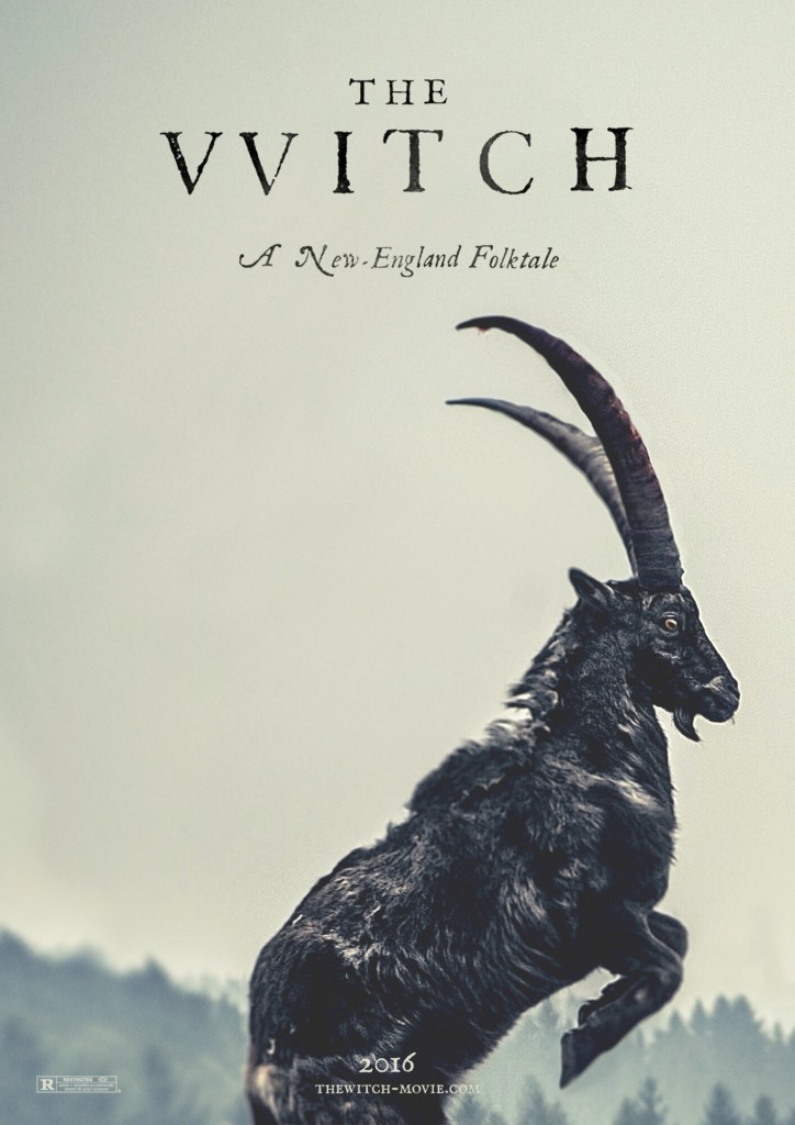 poster for the movie The Witch